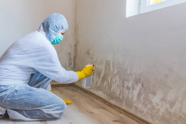 Crawl Space Mold Removal in Fulton, TX