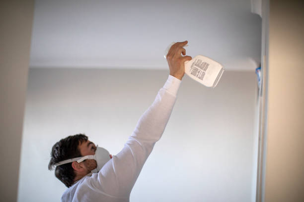 Best Black Mold Removal  in Fulton, TX