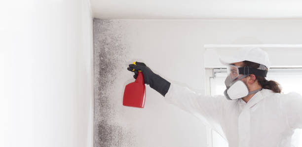 Best Residential Mold Removal  in Fulton, TX