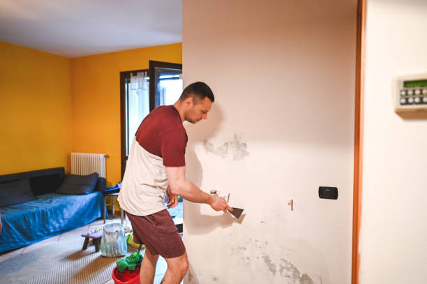 Best Fast Mold Removal  in Fulton, TX