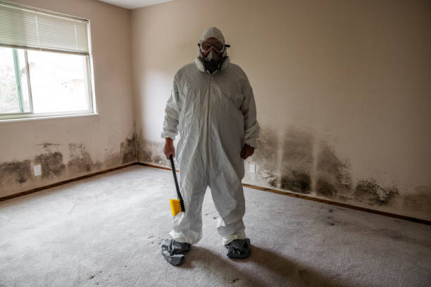 Best Best Mold Removal Companies  in Fulton, TX